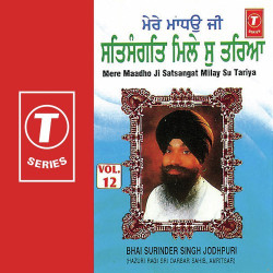 Unknown Mere Maadho Ji Satsangat Milay Su Tariya (Vol 12)