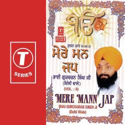 Unknown Mere Mann Jap (Vol 8)
