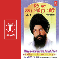 Unknown Mere Mann Naam Amrit Peeo (Vol 4)
