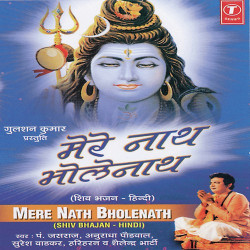 Unknown Mere Nath Bholenath