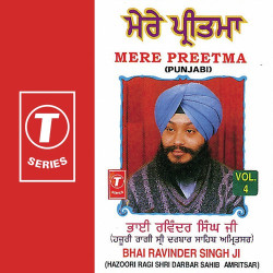 Unknown Mere Preetma (Vol 4)