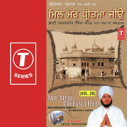 Unknown Mil Mere Preetma Jeeo (Vol 29)