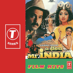 Unknown Mr India