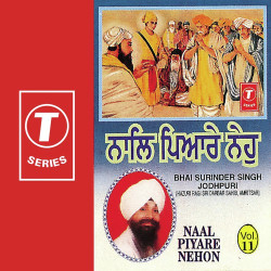 Unknown Naal Piyare Nehon (Vol 11)