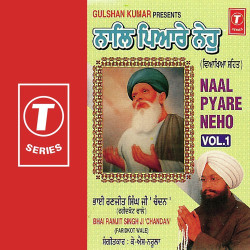 Unknown Naal Pyare Neho (Vol 1)