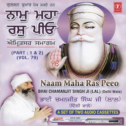 Unknown Naam Maha Ras Peeo-Amritsar Samagam (Part 2)