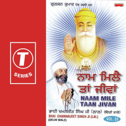 Unknown Naam Mile Taan Jivan (Vol 33)