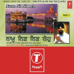 Unknown Naam Nit Nit Leh (Part-3)