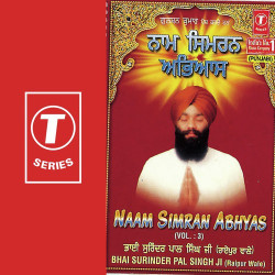 Unknown Naam Simran Abhyas (Vol 3)