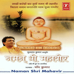 Unknown Naman Shri Mahavir