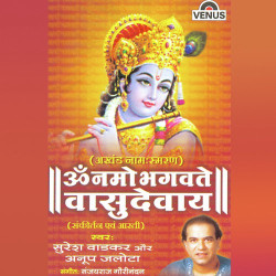 Unknown Om Namo Bhagvate Vasudevay
