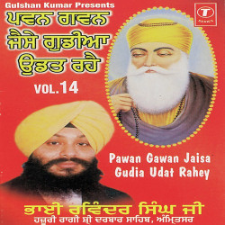 Unknown Pawan Gawan Jaisa Gudia Udat Rahey (Vol 14)