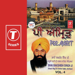 Unknown Pee Amrit (Vol 4)