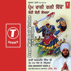 Unknown Prem Wali Gali Vichon Koi Koi Langda (Vol 25)