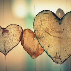 Unknown Tum (a Silent Love Song)