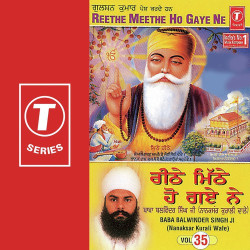 Unknown Reethe Meethe Ho Gaya Ne (Vol 35)
