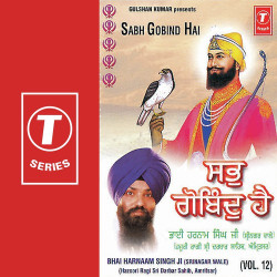 Unknown Sabh Gobind Hai (Vol 12)