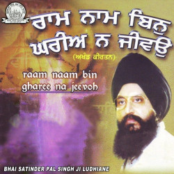 Punjabi Unknown