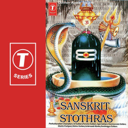 Unknown Sanskrit Stothras-Rudra, Namakam, Chamakam, Sri Suktam