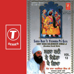 Unknown Sarsa Nadi Te Vichhoda Pei Gaya (Vol 13)