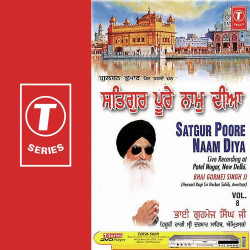 Unknown Satgur Poore Naam Diya (Vol 8)