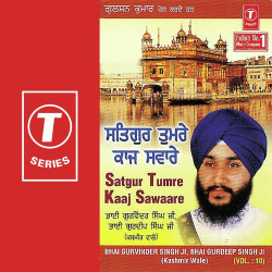 Unknown Satguru Tumre Kaaj Saware (Vol 10)