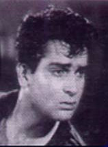 Unknown Shama Parwana