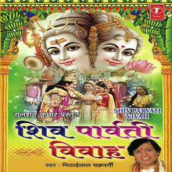 Unknown Shiv Parvati Vivah