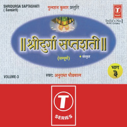 Unknown Shree Durga Saptshati (Vol 3)