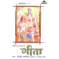 Unknown Shreemad Bhagwat Geeta - Vol 14