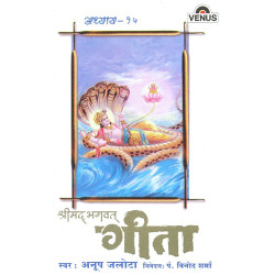 Unknown Shreemad Bhagwat Geeta - Vol 15
