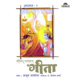 Unknown Shreemad Bhagwat Geeta - Vol 3