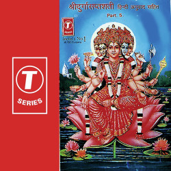 Unknown Shri Durga Saptshati (Vol 5)