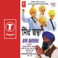 Unknown Sikh Bachcha (Vol 12)