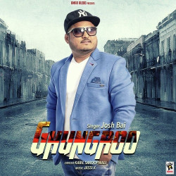 Punjabi Unknown