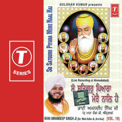 Unknown So Satguru Piyara Mere Naal Ha (Vol 19)