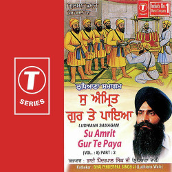 Unknown Su Amrit Gur Te Paya (Vol 8) (Part 2)