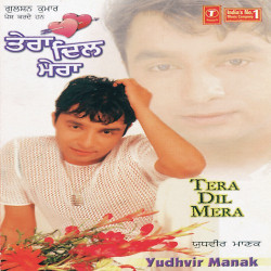 Unknown Tera Dil Mera