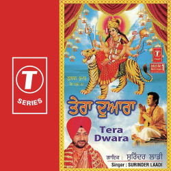 Unknown Tera Dwara