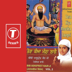 Unknown Tera Kiya Meetha Laagei (Vol 2)