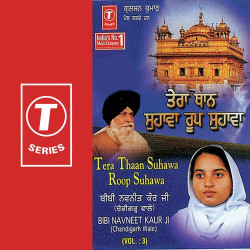Unknown Tera Thaan Suhawa Roop Suhawa (Vol 3)