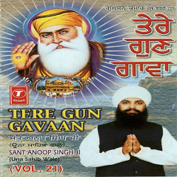 Unknown Tere Gun Gavaan (Vol 21)