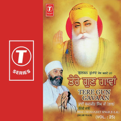 Unknown Tere Gun Gavaan (Vol 25)
