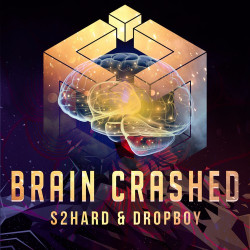 Unknown Brain Crashed