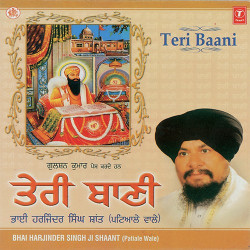 Unknown Teri Baani