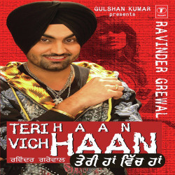 Unknown Teri Haan Vich Haan