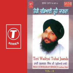 Unknown Teri Wadiyai Tuhai Jaanda (Vol 4)