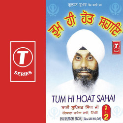 Unknown Tum Hi Hoat Sahai (Vol 2)
