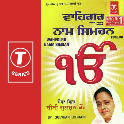 Hindi-Singles Unknown