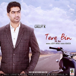 Unknown Tere Bin